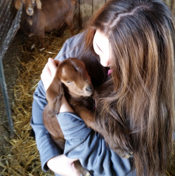 Bundle those likes! - Picture 9 of 9